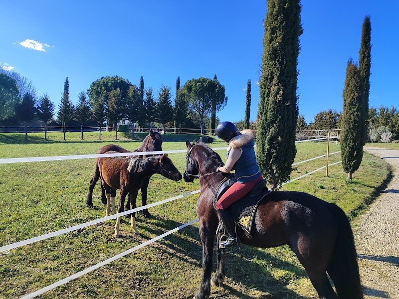 Le Domaine de l'Art Equestre - photo 1