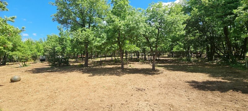 Ecurie des Lombards - photo 1