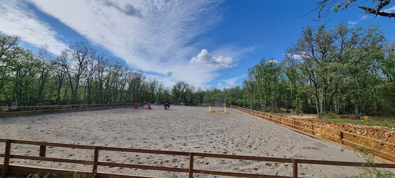 Ecurie des Lombards - photo 2