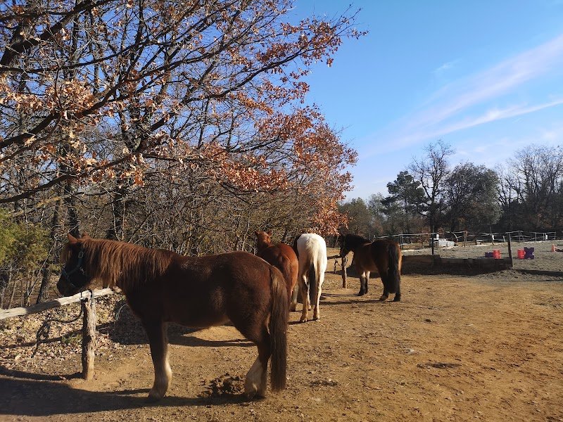 Tous en Selle, Centre équestre Rians, Var - photo 1