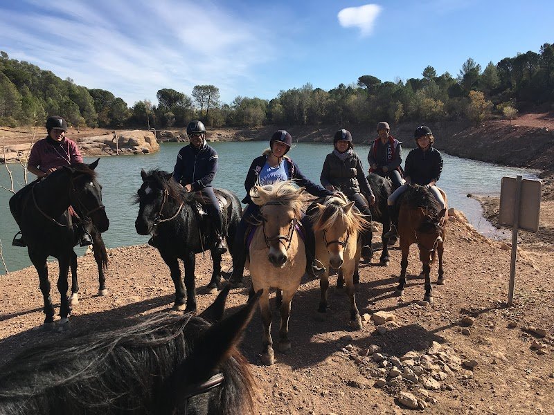 Les Ecuries du Mas Di Gau - photo 2