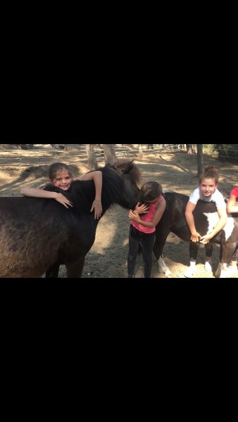 PADDOCK PARADIS - photo 1