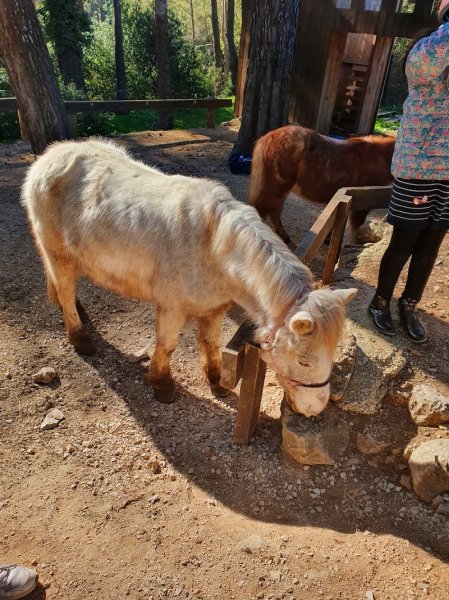 PADDOCK PARADIS - photo 2