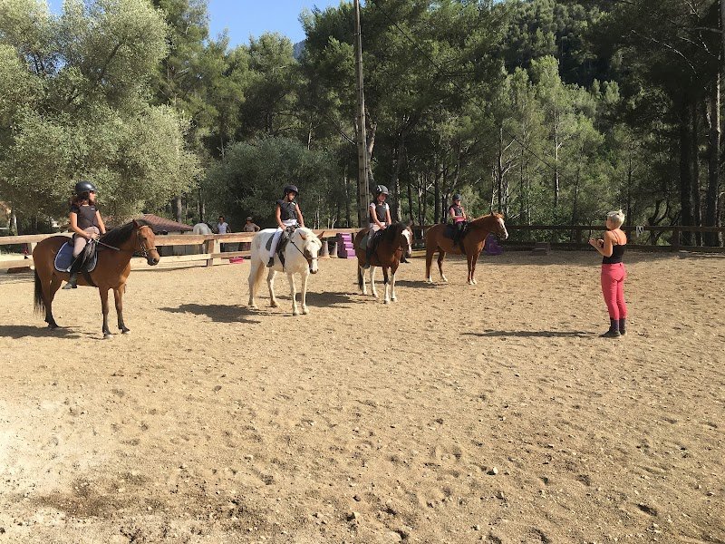 PADDOCK PARADIS - photo 3