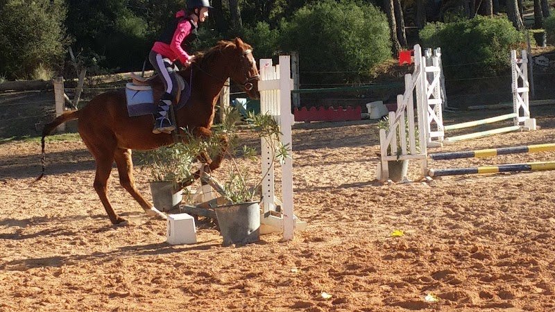 Ecuries Laurent Palési - Centre équestre de Carnoules - photo 3