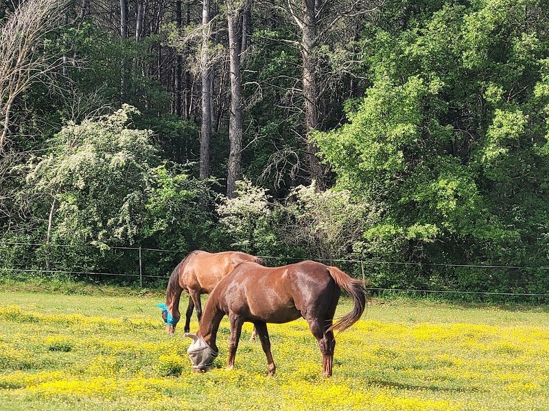 Pension retraite des suis - photo 1