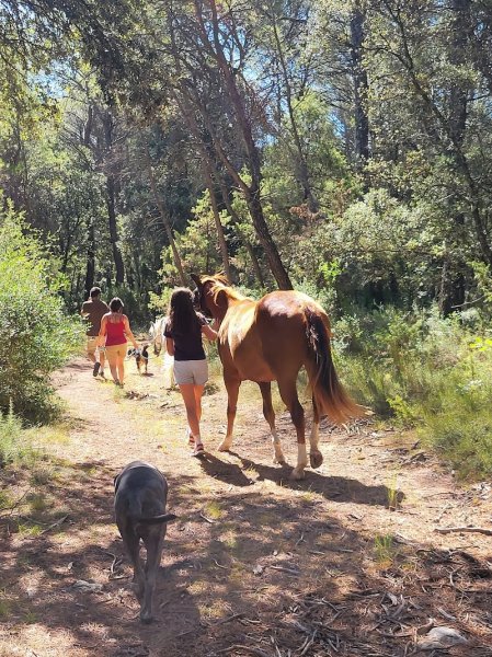 Pension retraite des suis - photo 2