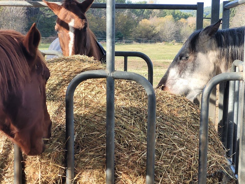 Pension retraite des suis - photo 3