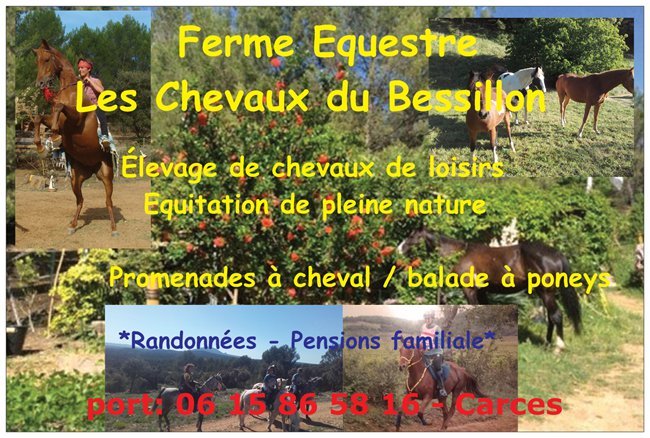 Les Chevaux Du Bessillon - photo 1