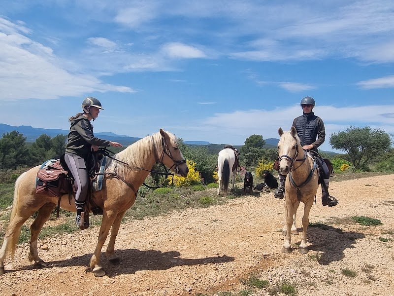 Les Chevaux Du Bessillon - photo 2