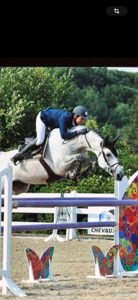 Haras de la Chesnaie - photo 1