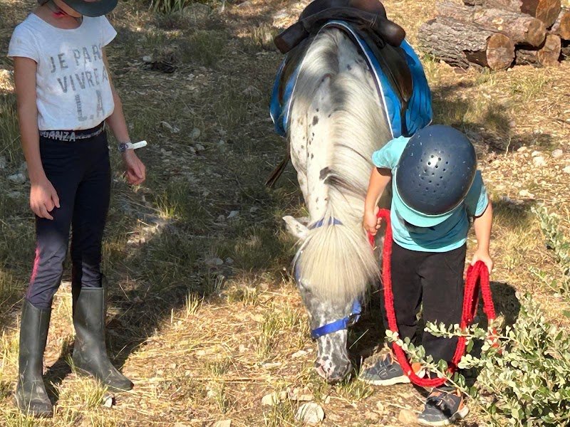 mon ami poney® Sainte Anastasie Sur Issole - photo 2