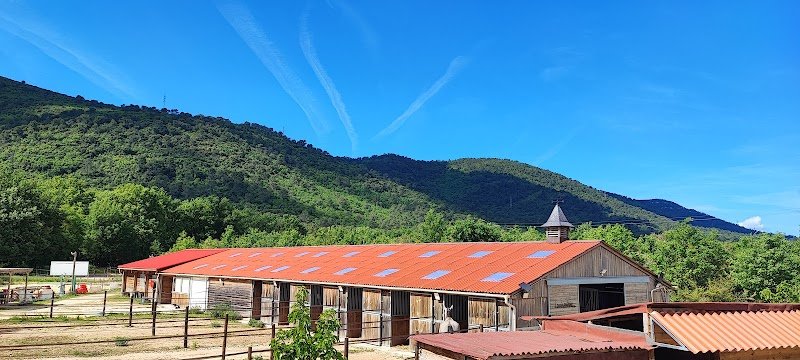 Les Ecuries de Louarane (83) - photo 1