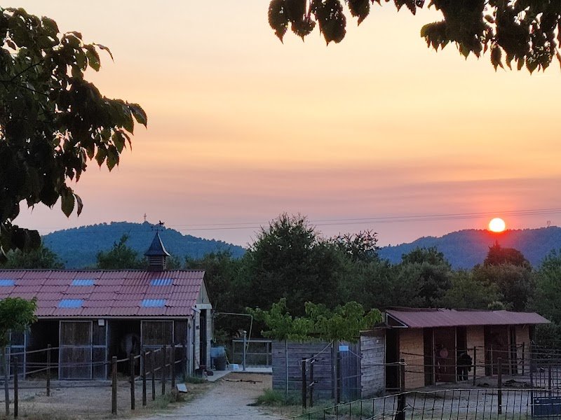 Les Ecuries de Louarane (83) - photo 2