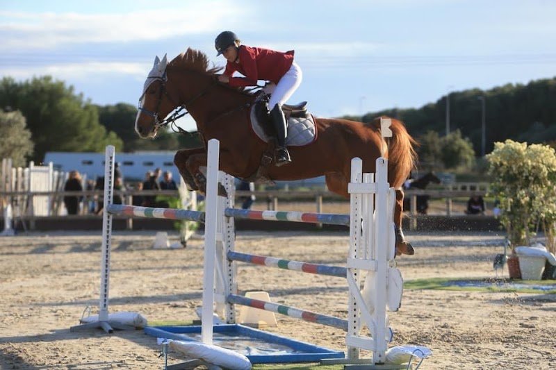 Haras du Latay - photo 1