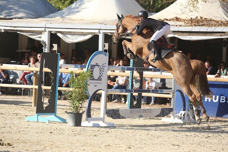 Haras du Latay - photo 3