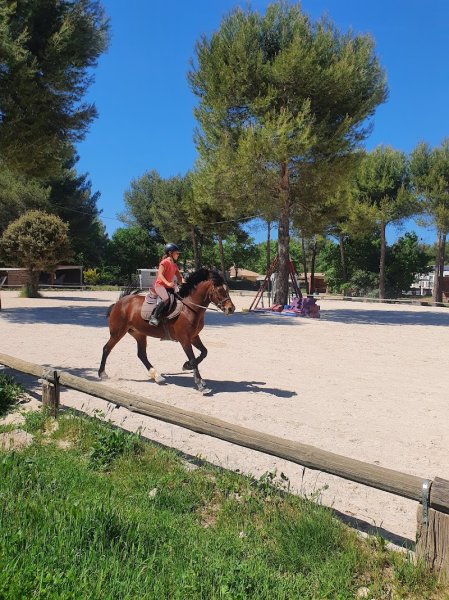 EDP JUMP Centre équestre - photo 2