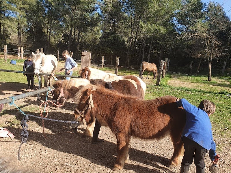EDP JUMP Centre équestre - photo 3