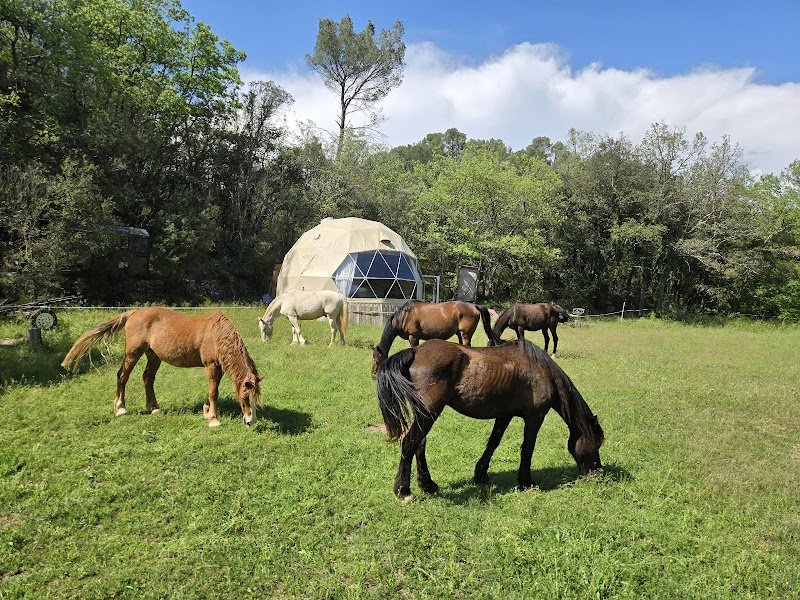 La Cabane aux Chevaux - photo 2