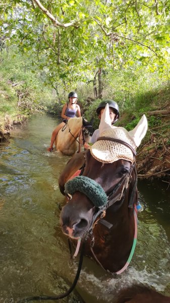 La Cabane aux Chevaux - photo 3