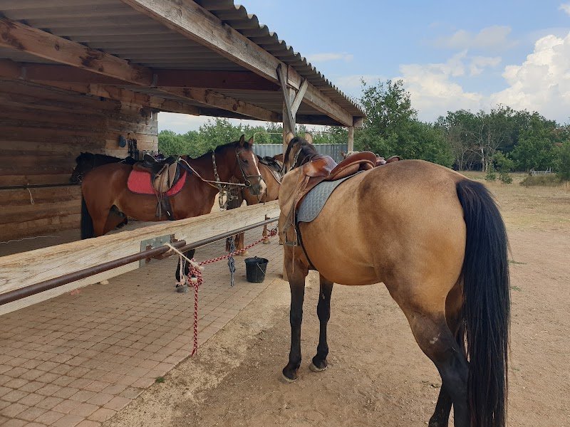 CENTRE EQUESTRE DE MONTMEYAN - photo 2