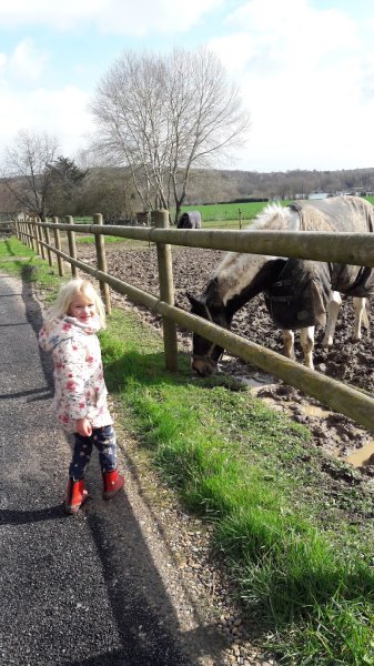 Écuries du gros chêne - Loize Xavier - photo 2