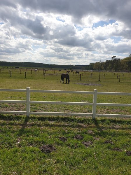 Les Ecuries de Mortefontaine - photo 2