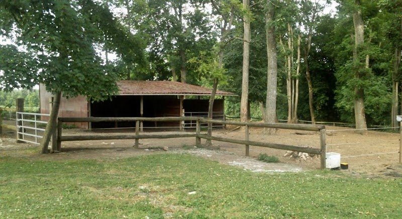 Les Ecuries De L'automne - photo 2