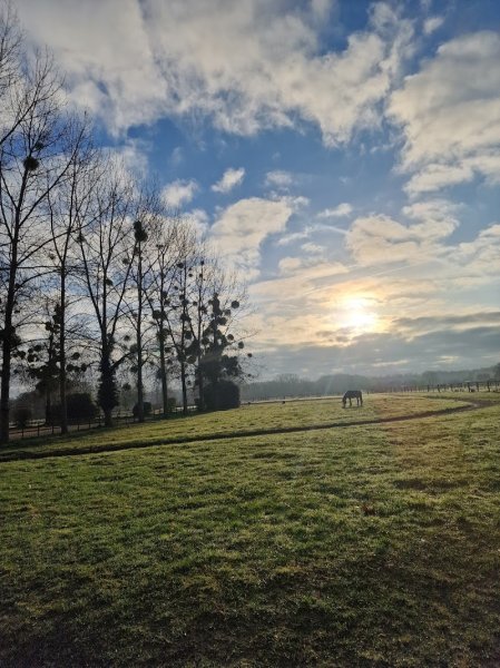 Haras Des Trois Forêts - photo 2