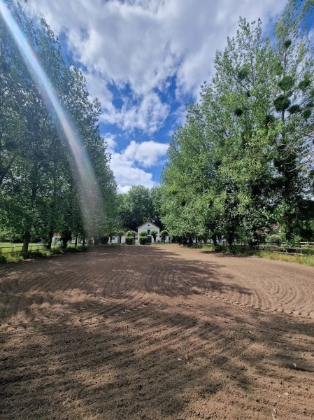 Haras Des Trois Forêts - photo 3