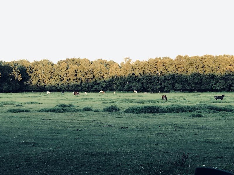 Haras De La CensièRe - photo 3