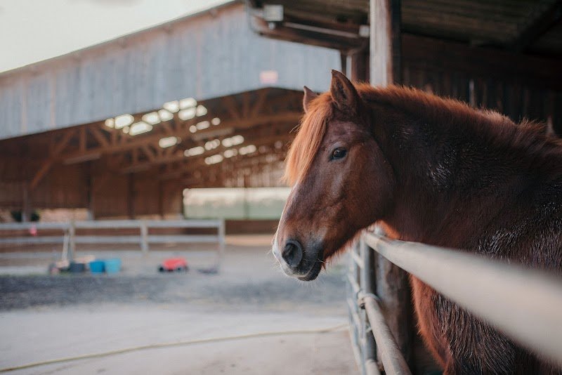 Les Écuries De Balagny - photo 2