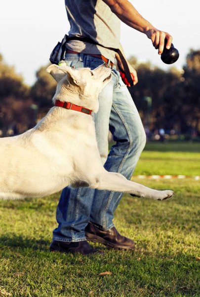 Gaschot Pension Familiale - photo 1