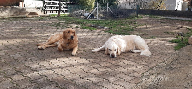 Gaschot Pension Familiale - photo 2