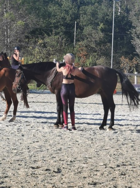 Haras de Pennafort - photo 1