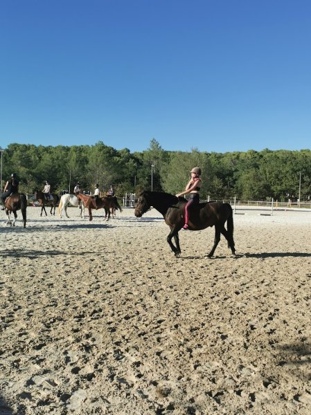Haras de Pennafort - photo 3