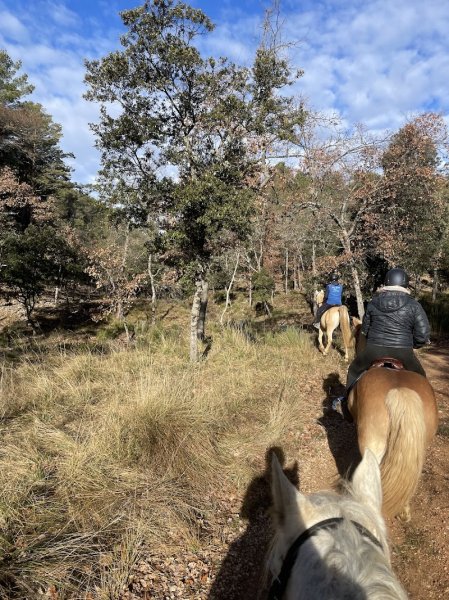 Ferme Equestre Saint Lazare