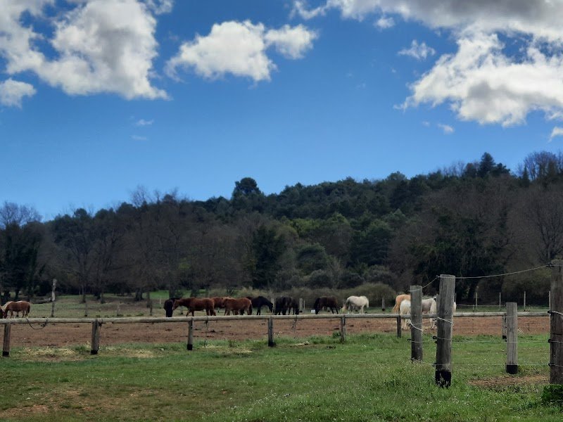 les Chevaux du Verdon - photo 3
