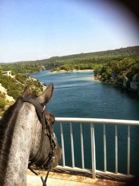 RELAIS PUITS DE RIQUIER : gîte d'étape cabanes Var Verdon Relais Cheval/motos éco-lieu