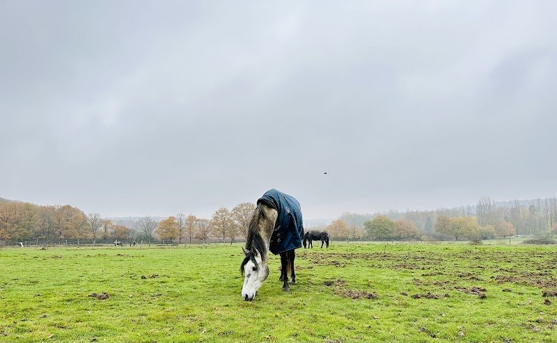 Les Chevaux de Garnes - photo 3