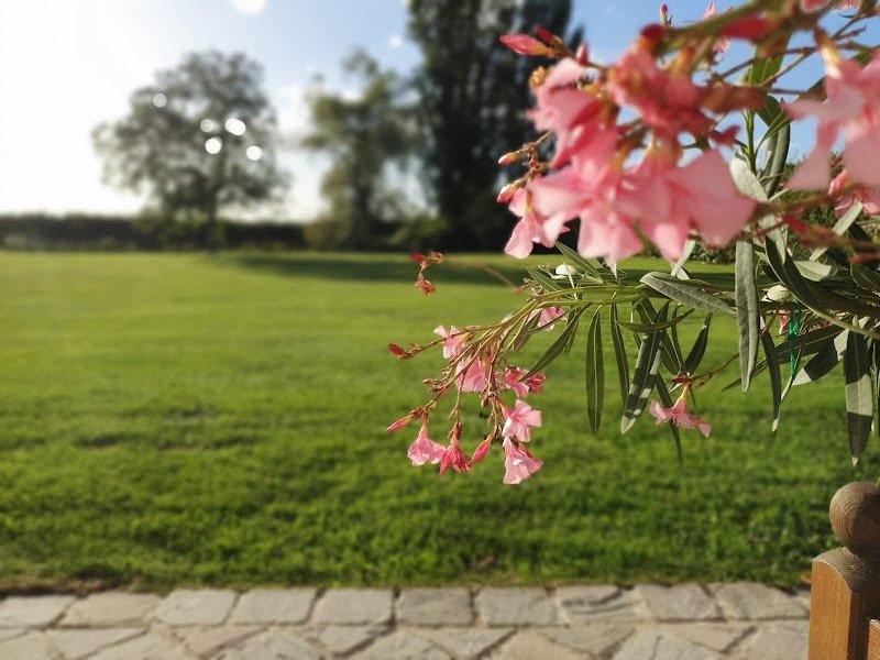 Les Ecuries de Voise