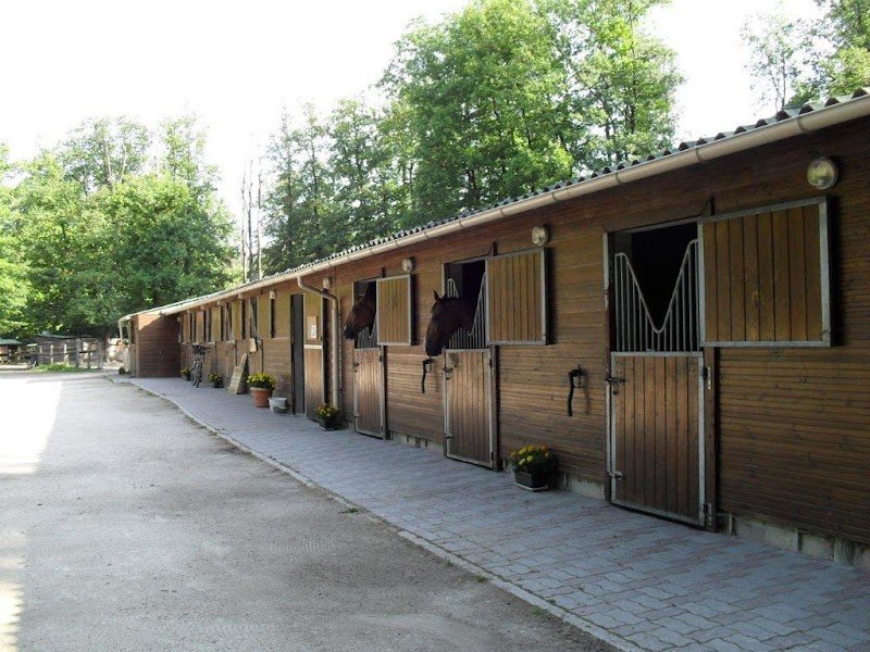 Écurie des Grandes Terres - photo 1