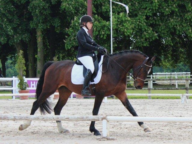 Écurie des Grandes Terres - photo 2