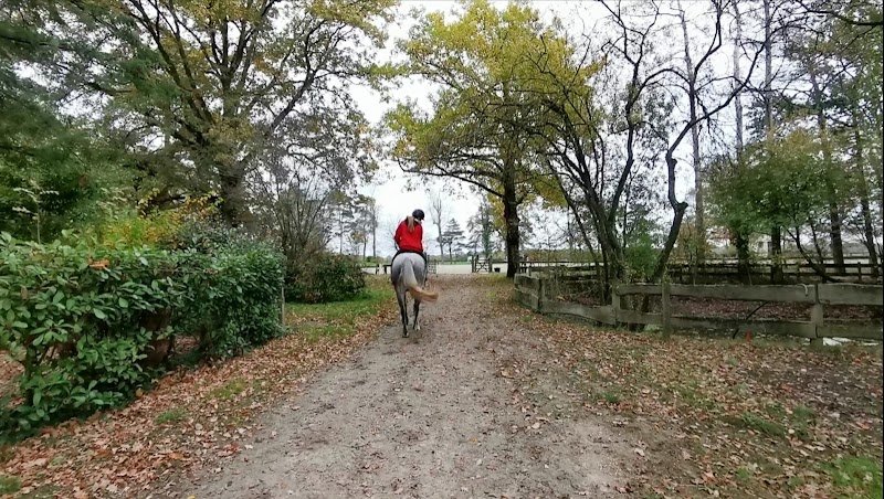 Haras de Chevreuse - photo 2