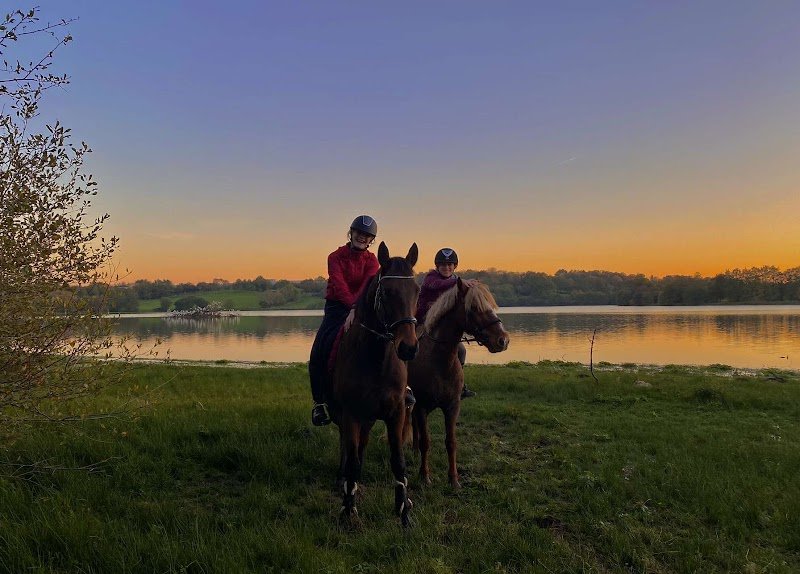 Cheval Détente - photo 1