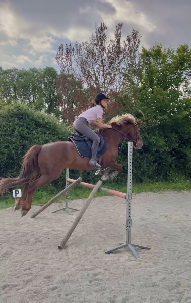 Cheval Détente - photo 2