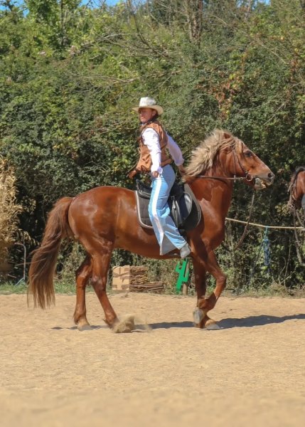 Cheval Détente - photo 3