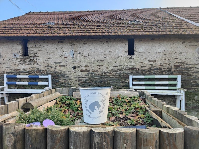 Ecurie des Harmonières - photo 3