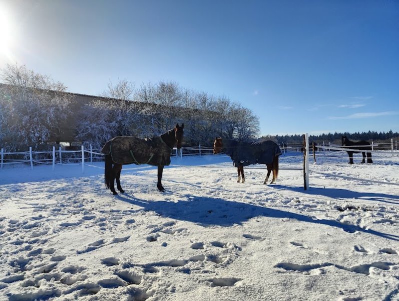 ÉCURIES DES JOULAIRES - photo 1