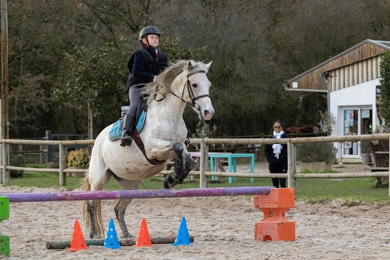 Haras de Nantes - La Vaillantière - photo 1